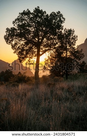 Sunset Overlook at Big Bend National Park, in southwest Texas, USA Royalty-Free Stock Photo #2431804571