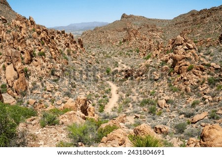 The Arid and Rugged Terrain of Big Bend National Park, in southwest Texas, USA