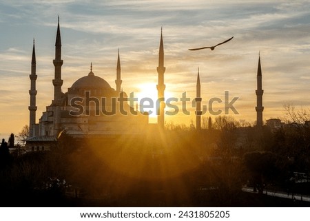 Sunset over The Blue Mosque or Sultanahmet Mosque with seagulls in Istanbul, Turkey.