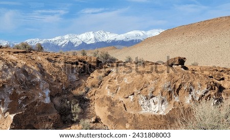 snow covered mountains in background of desert