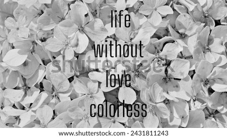 black and white colorless flower wallpaper Royalty-Free Stock Photo #2431811243