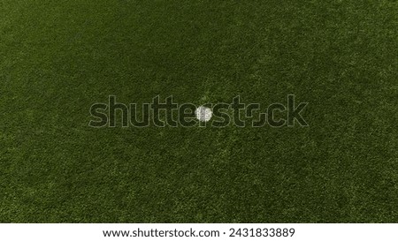 Close up of the penalty spot in a football field with artificial grass. A white spot in the synthetic grass. Royalty-Free Stock Photo #2431833889