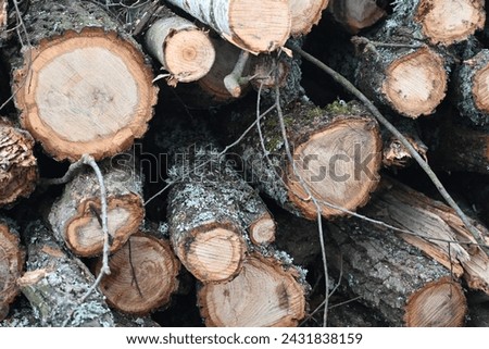 tree logs, cut tree trunks as a backdrop, spring pruning of trees, cut tree trunks, moss-covered arbor trunks, cut branches of shrubs, mistletoe on branches, sanitary pruning of trees, trimming trees,