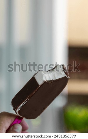 chocolate ice cream stick covered in chocolate in the background of a garden