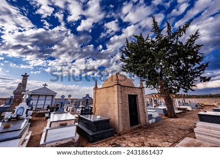 Mausoleum and cypress tree in the cemetery of Fuenllana