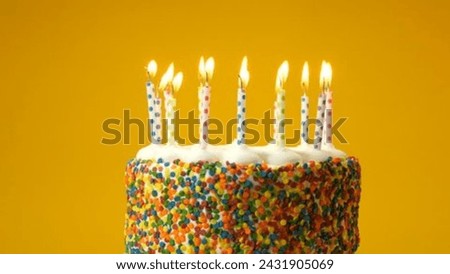 Whimsical Birthday Delight, Festive Cake with Drip Icing, Buttercream Swirls, and Colorful Sprinkles