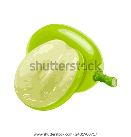 Vector illustration, muscat grapes, isolated white background. Royalty-Free Stock Photo #2431908717