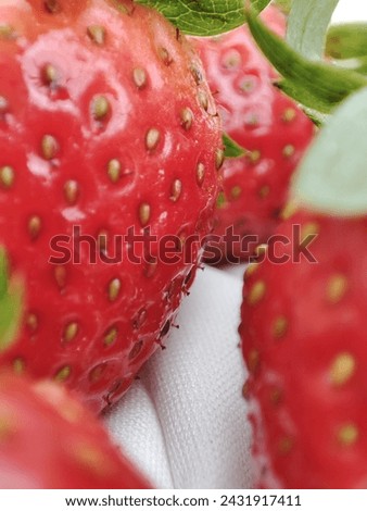 photo of the surface of a fresh red strawberry 