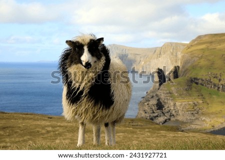 Beautiful scenery of the Faroe islands, Bosdalafossur Royalty-Free Stock Photo #2431927721