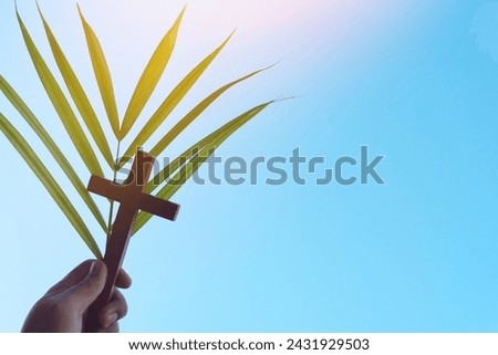 Human hand holding palm leaves with wooden crucifix cross in clear blue sky. Palm sunday background. Royalty-Free Stock Photo #2431929503
