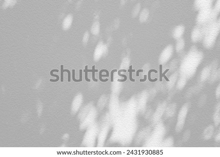 Tree branches shadow and bokeh on white concrete wall background.