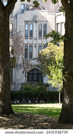 Old Building with Ivy on Chicago Campus