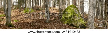 Big stone in leafy autumn forest.