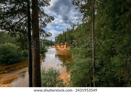 River in the taiga. View of the river from the mountain through pine trees Royalty-Free Stock Photo #2431953549
