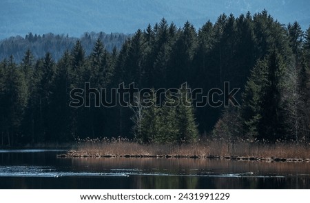 Typical view of an idyllic little lake in the Alps of Allgaeu in Bavaria Royalty-Free Stock Photo #2431991229