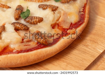 Pizza with silkworm pupae and mozzarella, edible insects in Thailand. Close-up 