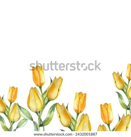floral border of yellow tulips and leaves. Botanical watercolor illustration on a white background. for the design