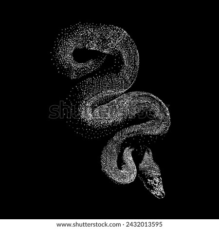 banana ball python hand drawing vector isolated on black background.