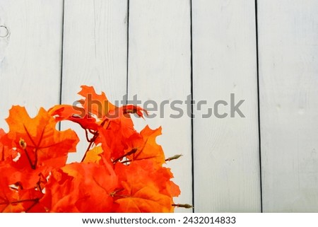 The wooden board was decorated with autumn leaves. Background with colorful leaves of flowers. Colorful floral background design concept. empty space, seasonal concept. postcards