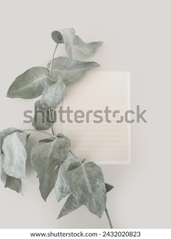 Postcard with eucalyptus branch flat lay composition on light gray background. Top view