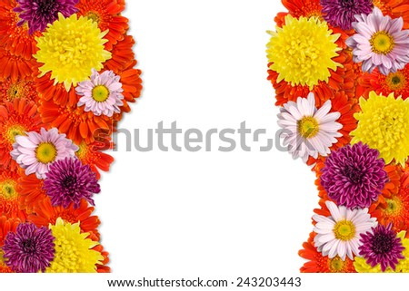 Image of flowers on white background