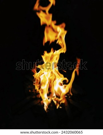 Very beautiful yellow bonfire picture 