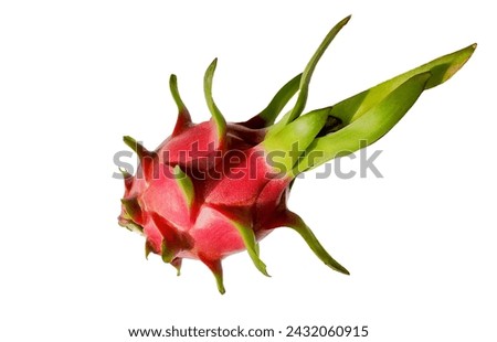 Fresh dragon fruit isolated on white background with copy space, ideal for food and nutrition themes