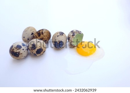 Quail eggs (Cortunix-cortunix Japonica) contain high levels of protein. Isolated on a white background.