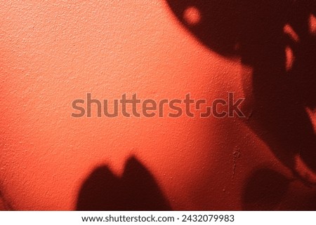Photo picture of Orange cement wall using for background , having black leaves shadow on the right side and having empty space center of this picture.
