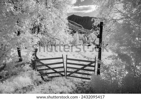 A tranquil infrared scene with a rustic gate, surrounded by ghostly trees in a mountainous region under a clear sky.