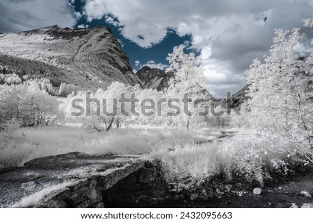 A tranquil scene captured using infrared photography, showcasing white foliage against dark mountain peaks.