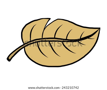 dry leaf / cartoon vector and illustration, hand drawn style, isolated on white background.