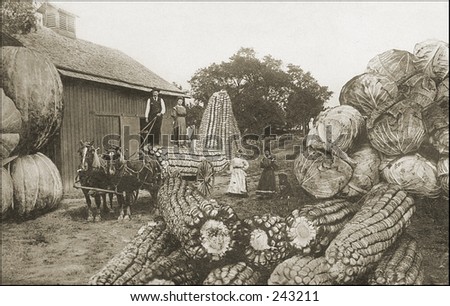 Vintage Photo of Farmers and Huge Vegetables
