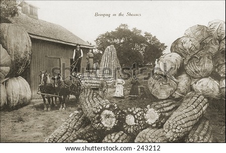 Vintage Photo of Vintage Photo of Farmers and Huge Vegetables