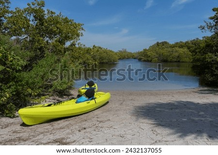 Two yellow kayaks on the shore of Robinson's Preserve, Bradenton, Florida amid the mangrove-lined intracoastal waters of Tampa Bay, a blue sky, calm water, and lush tropical vegetation. Royalty-Free Stock Photo #2432137055