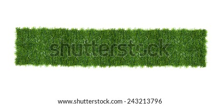 The green grass isolated on white. Top view.