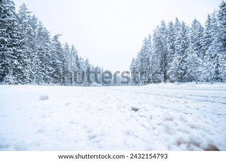 Beautiful winter landscape with snow covered trees in the forest. Christmas background.
