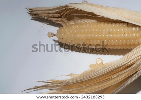 A PICTURE OF PULUT CORN ON A COLORED BACKGROUND