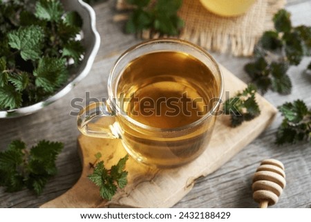 A glass cup of herbal tea with fresh stinging nettles on a table Royalty-Free Stock Photo #2432188429
