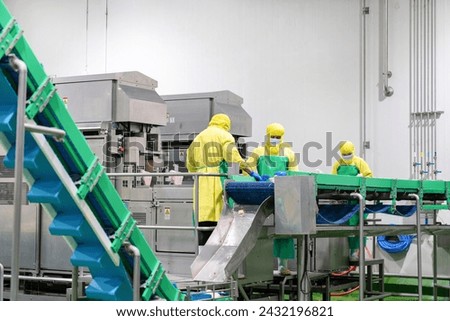 The worker feeds the whole chicken into the automatic chicken parts cutting machine in process line.