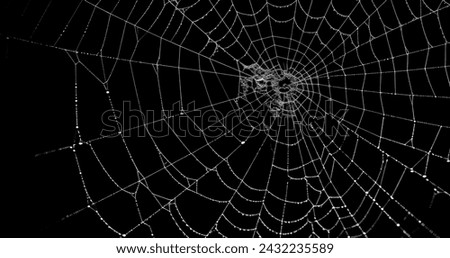 realistic Spider's web black background  Royalty-Free Stock Photo #2432235589