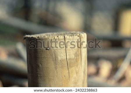 Abstract photograph of a section of a wooden stake. Wooden stake, cut. Wood, natural material, blurred background, cut. Royalty-Free Stock Photo #2432238863