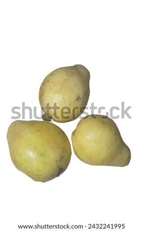 Three guavas picture with white background 