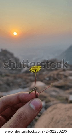 It's picture of beautiful sunset along with a sunflower!!!