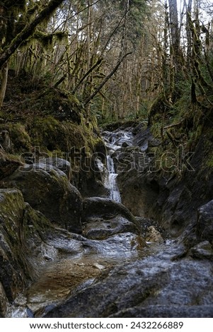Waterfall stream and mossy stones in mountain forest, autumn-winter season. beautiful nature background. mystical green Mossy Forest landscape. harmony of nature. 