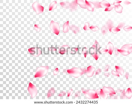 Pink cherry blossom petals isolated on transparent background. Flying sakura flower parts spring wedding vector. Realistic peach flolwer petals natural decor. Invitation card pattern.