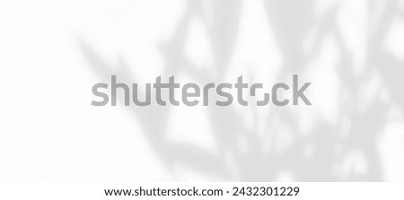 White wall with shadow of leaves overlay. Sunlight effect shadow on the wall. Minimal blurred backdrop backgrounds. Summer tropical surface background.