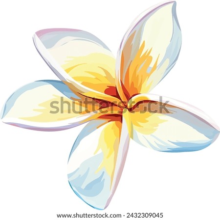 Paradise flower plumeria vector hand drawing. Tropical flower, exotic plant. Bright plant