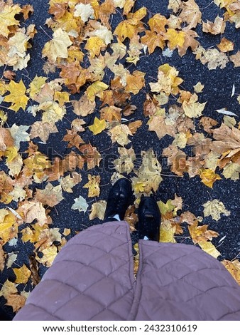 autumn photo with a person, only the face is not visible