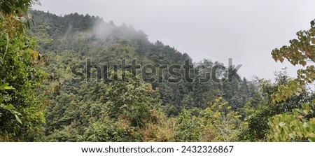 Nature Background of Darjeeling Hills and Nature Forest, Green Background, Mountain, View of Hills Town in Darjeeling 
